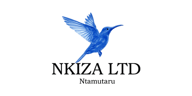 Nkiza Ltd